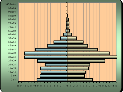 Grafico 3. Piramide población extranjera